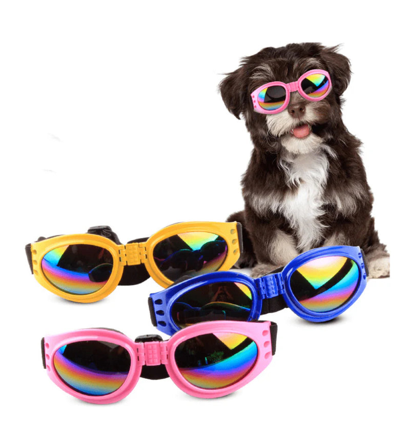 Gafas Rojas Para Mascota De Lentes Tintados