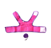 Pechera Morada Con Correa Para Mascota