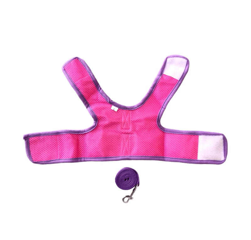 Pechera Morada Con Correa Para Mascota