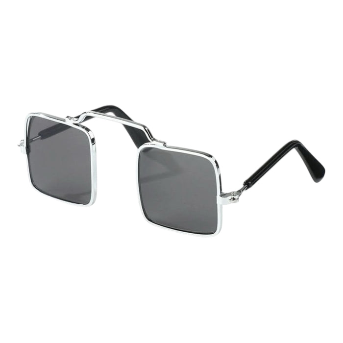 Gafas Para Mascota De Lentes Negros